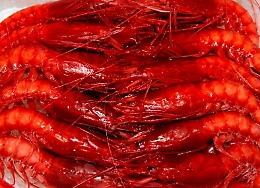 Mazara, dagli scarti nasce il nettare di gambero rosso