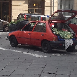 Catania: l'unico che in via Martino Cilestri non paga tasse e multe