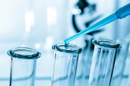 Contrasse la leishmaniosi da militare, siciliano ora sarà risarcito