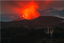 La betulla e l'eruzione dell'Etna, ecco la foto che ha vinto il premio &laquo;Hortus Siculus&raquo;