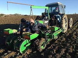 Cianciana: alla Sagra dei grani antichi si parlerà anche di agricoltura biologica