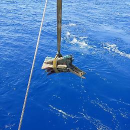 Dai fondali delle Egadi, due rostri in bronzo della Prima guerra punica