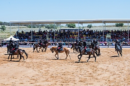 Equitazione: torna in Sicilia (alla Tenuta Ambelia) la Coppa degli Assi