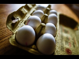 La Coldiretti: &laquo;Le uova siciliane sono super sicure&raquo;