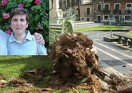 Donna uccisa da palma a Catania: iniziato processo