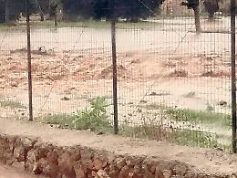 "Bombe d'acqua" alle Egadi, il Comune chiede interventi