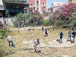 Verde appassito a Siracusa, il Comune striglia le imprese della manutenzione