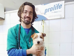 Cani, «Patentino per i padroni»