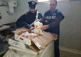 Sequestrati carni e prodotti ittici tenuti in cattivo stato di conservazione