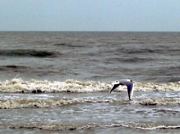 Fondali insabbiati chiudono scalo marittimo di Gela