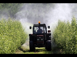 Truffa all'Ue grazie alla complicità di operatori di Centri di assistenza agricola: ventitré indagati in Sicilia