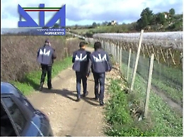Vicino ai clan di mezza Sicilia, Dia di Agrigento sequestra mezzo milione a imprenditore agricolo