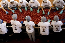 Lavoro, tour del ministro Poletti e del sottosegretario Faraone tra le eccellenze di Sicilia