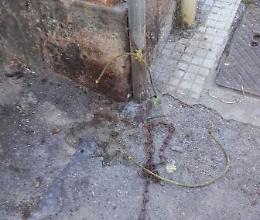 Litiga con i vicini e abbandona il cane legandolo a un palo: denunciata