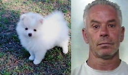 «O ci dai 500 euro o il cane muore»: ruba l'animale al fratello e poi chiede riscatto