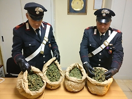 Mazzarino, blitz dei carabinieri in un'area rurale: sequestrati quattro chili di marijuana