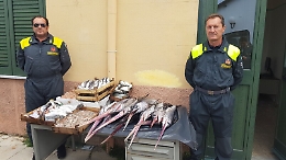 Palermo, sequestrati 66 chili di pesce non “tracciabile”