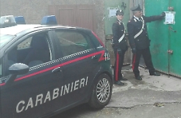 Messina, operazione Zikka, arrestato anche il veterinario