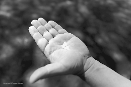 Il tremore dell'Etna diventa un'installazione d'arte moderna al Museo della Scienza di Milano