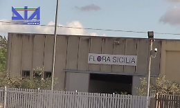 Vittoria, &ldquo;trafficava&rdquo; droga tra Sicilia, Olanda, Lazio e Calabria: sequestrati 20 milioni ai Cilia