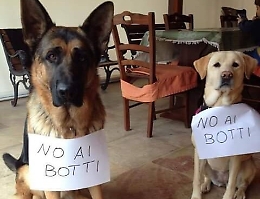 L'appello: no ai botti di Capodanno a Catania a tutela degli animali