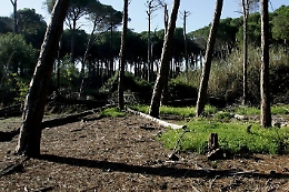 Catania, vandali al boschetto della Plaia: distrutti i servizi igienici