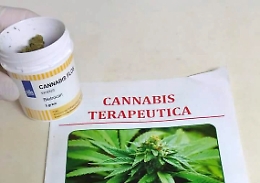 Cannabis terapeutica, ecco chi c'è nel tavolo tecnico dell'assessorato