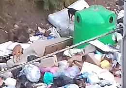 Catania, San Nullo: via Borgese ripulita con la gru dopo segnalazione