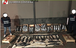 Sei tonnellate di pesce non tracciato sequestrate nel Catanese