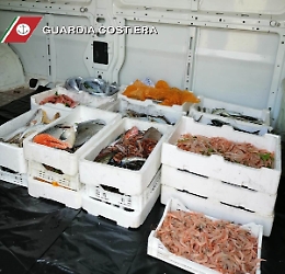 "Da dove arriva quel pesce?" Blitz della Guardia Costiera ad Acireale