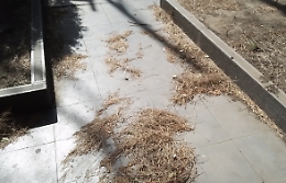 Catania: piazza Borsa nel degrado.