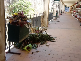Siracusa: il cimitero in totale abbandono.