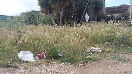 Festa della mamma, il flash mob del Wwf per ripulire la piazzetta con la Madonna