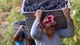 Licodia Eubea: donne trattate come schiave, arrestato “caporale”