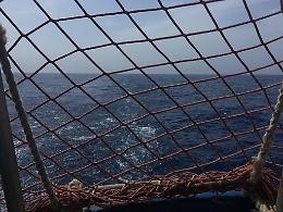 Sea Watch, la comandante fa rotta verso Lampedusa. Salvini: «Sbruffoncella, schiero la polizia»