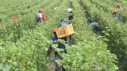 Sfruttavano braccianti stranieri: due imprenditori arrestati nel Siracusano