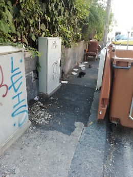 Catania: via Basile, "micro-discarica" e cassonetti sporchi