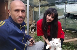 Giulia chiede una mano per i suoi gatti