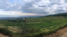 ViniMilo, pane caldo e "rosso" del vulcano per aprire la festa pre-vendemmia