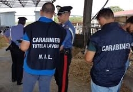 Lavoro nero, a Messina sette ditte su 24 sono irregolari