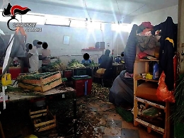 Misterbianco: il «caporale» teneva sei nigeriani chiusi in una stanzetta a mondare frutta e verdura