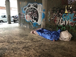 Catania: topo morto in strada e mai rimosso.