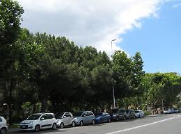 Catania: area verde parco Falcone nuovamente al buio.