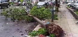 Vento a 95 chilometri all'ora e forti piogge, domani a Palermo chiusi scuole, ville e cimiteri