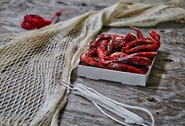 Dalla paranza al gambero rosso, l'impatto in Sicilia delle nuove norme taglia-pesca dell'Ue