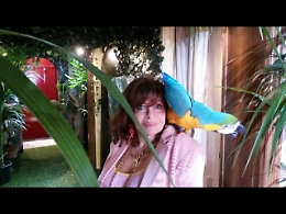 Delitto Gucci:vedova,rinuncio vitalizio