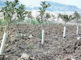 Enna: truffe, sequestrati beni per 200 mila euro