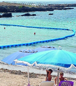 Spiagge siciliane invase da meduse 
In sei anni sono dieci volte di più