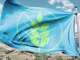 L'agricoltura iblea l'unica in Sicilia a ricevere le &laquo;Spighe verdi&raquo;