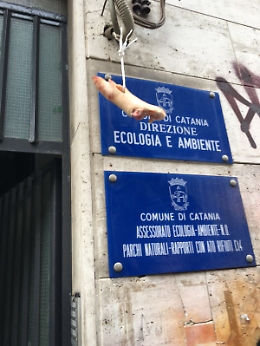 Catania, zampa di maiale davanti assessorato all'Ecologia
